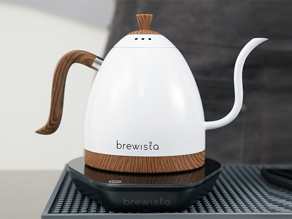 Amazon.com: Brewista Artisan Electric Gooseneck Kettle, Water