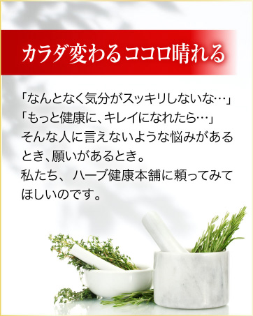 Amazon | ハーブ健康本舗 イタドルンS 50g ジェルクリーム