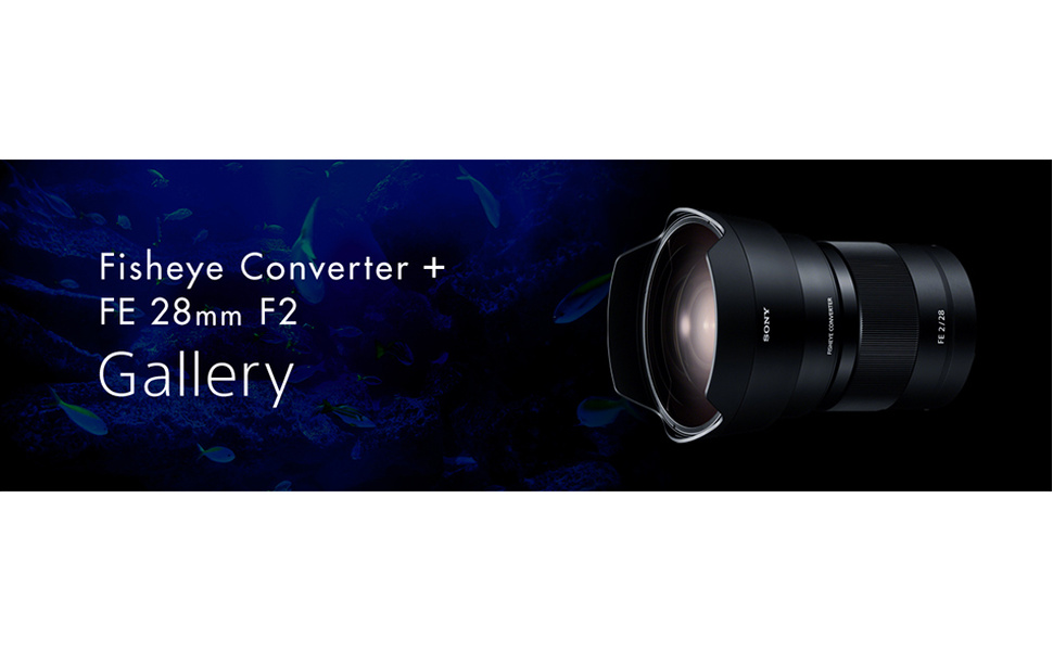 Amazon | SONY(ソニー) コンバーターレンズ フルサイズ フィッシュアイ