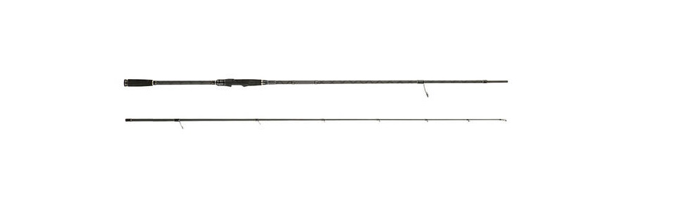 Amazon | AbuGarcia (アブガルシア) ソルティースタイル ロック