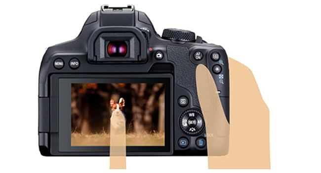 Amazon | Canon デジタル一眼レフカメラ EOS Kiss X10i ボディ