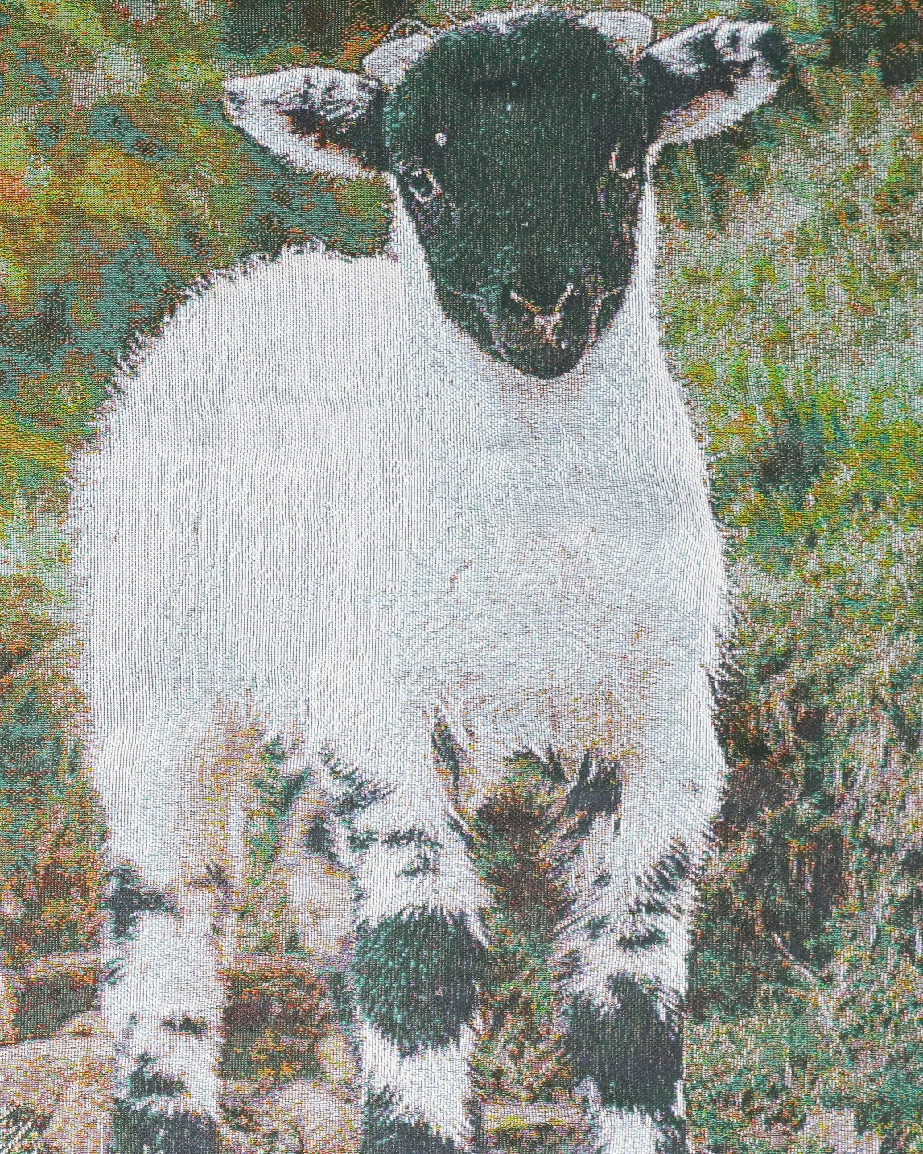 STRAYSHEEP RUG