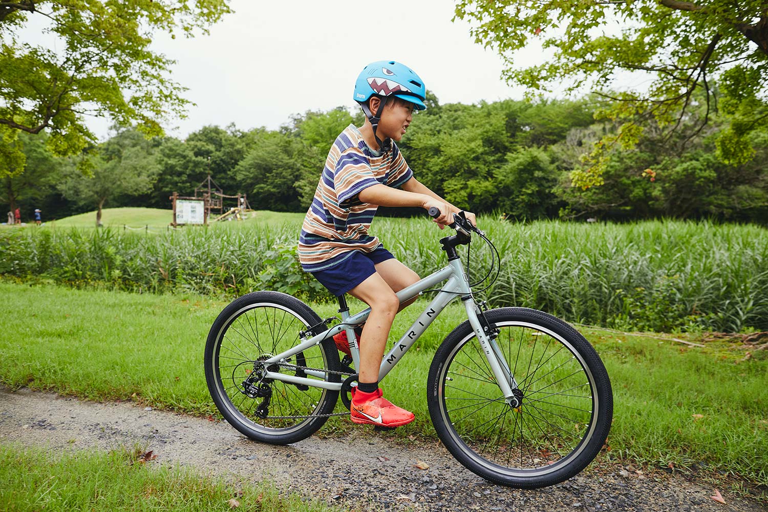DONKY JR24 6S LIMITED COLOR – MARIN JAPAN