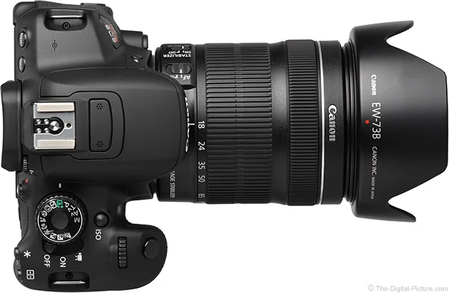Canon EF-S 18-135mm f/3.5-5.6 IS STM Lens Review
