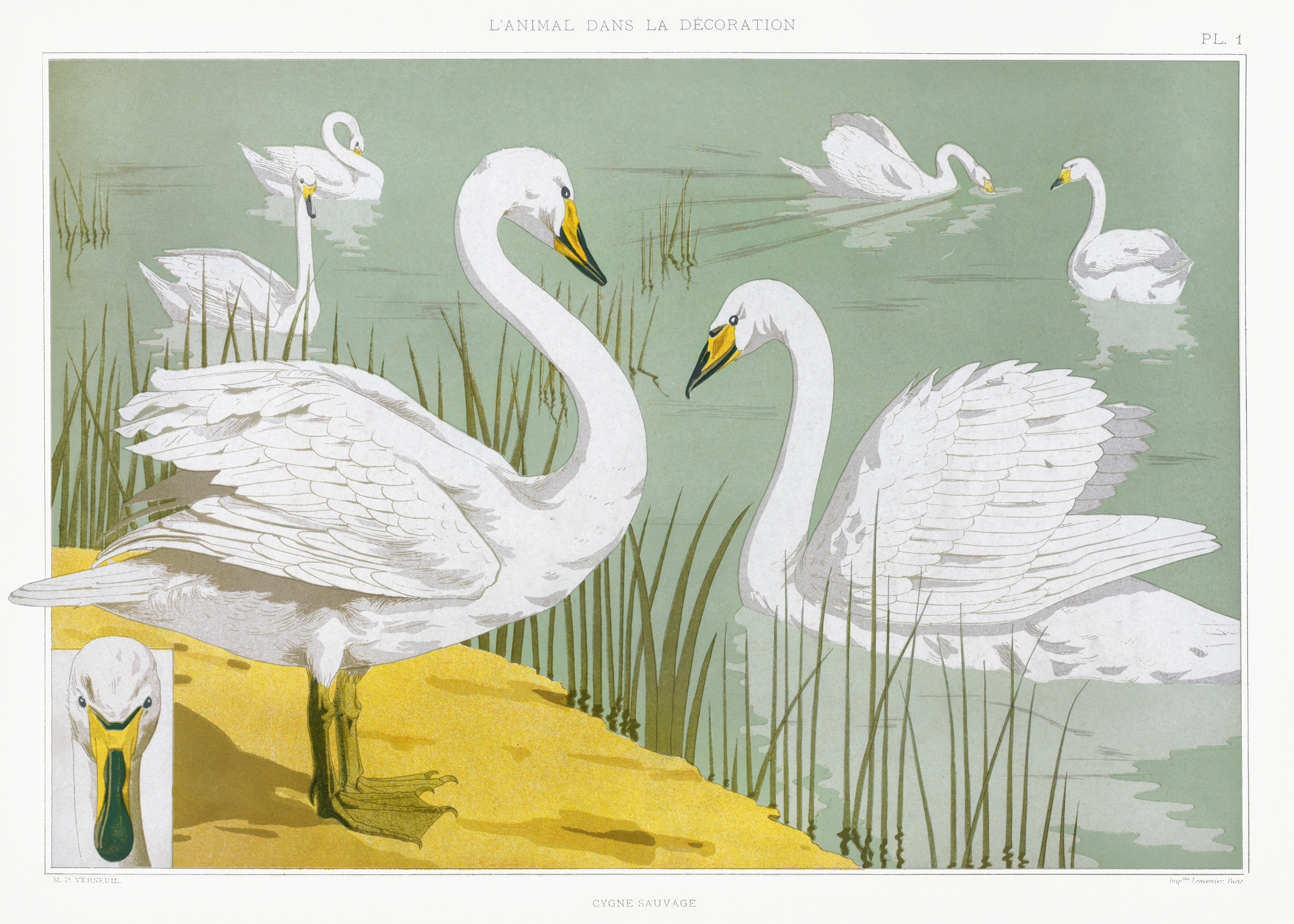 Wild Swan Lake Art Poster by Verneuil | Poster Store US