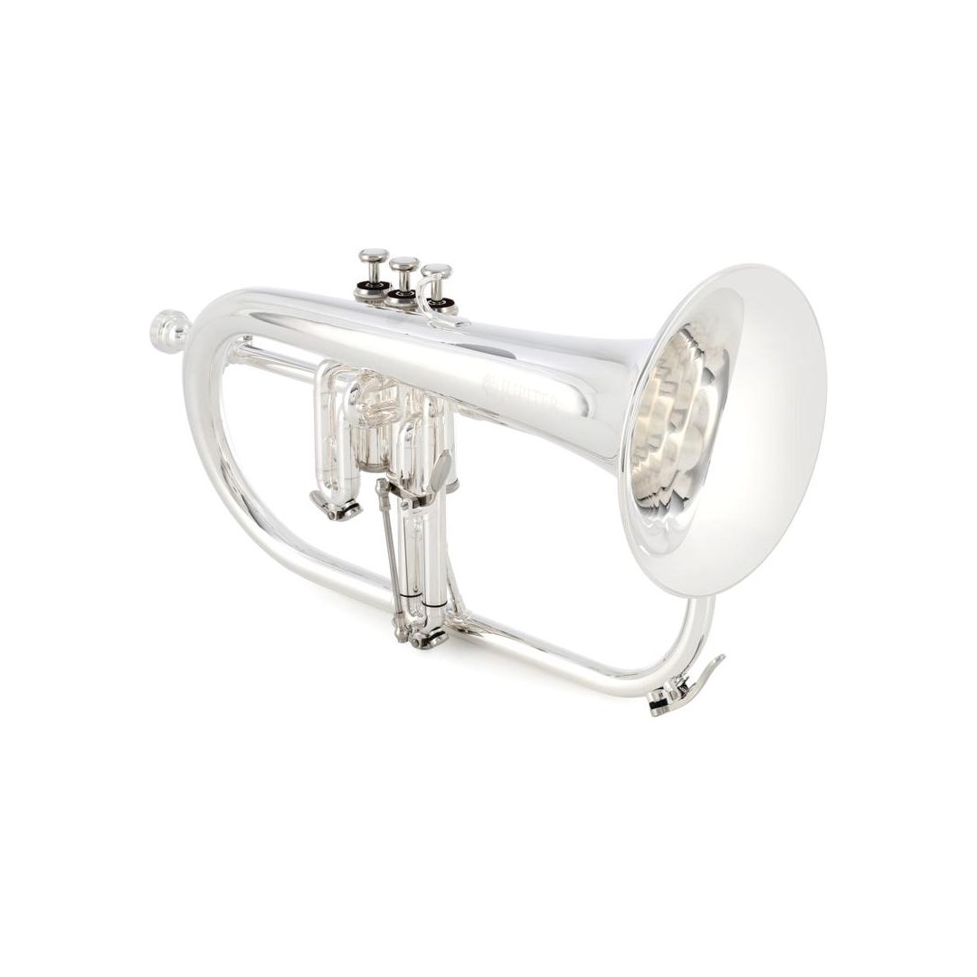 JFH1100RS-large.jpg