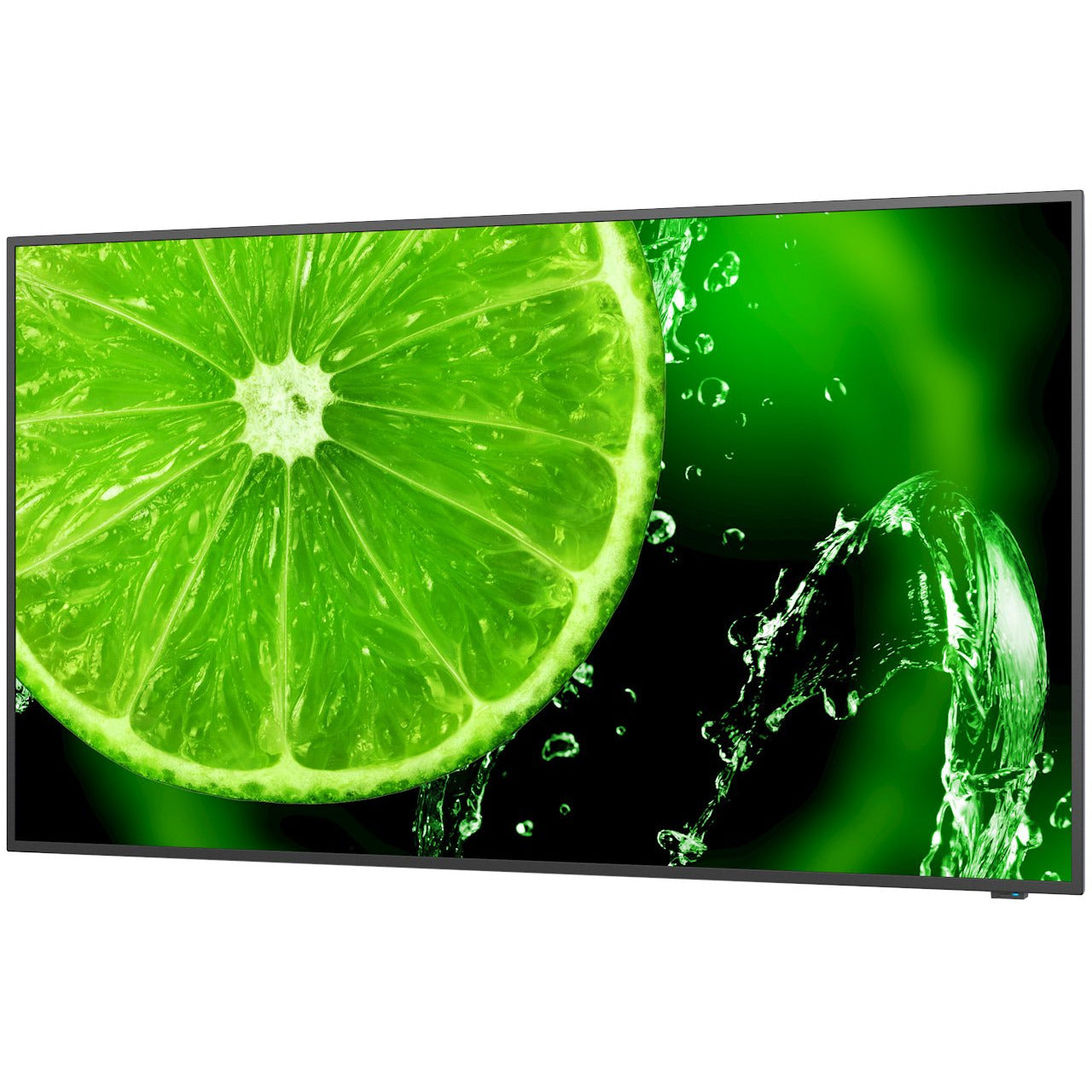 NEC MultiSync® E498 LCD 49