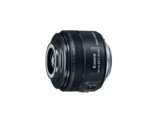 CANON EF-S 60mm F2.8 マクロ USM マクロレンズ 一眼レフカメラ レンズ