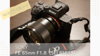 FE 24-105mm F4 G OSSをレビュー | 欠点など購入前に知りたいことを