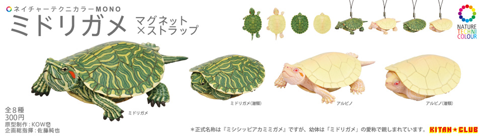 ミドリガメ マグネット×ストラップ – ネイチャーテクニカラー公式
