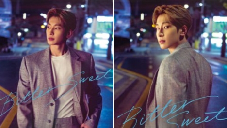 SEVENTEENウォヌ&ミンギュ「Bittersweet」からウォヌのキャラクター