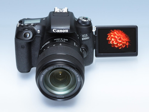 その出会い、その時を、美しく鮮明に描く。プレミアムエントリー一眼