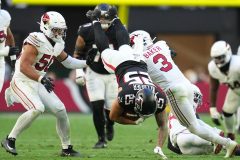 アリゾナ・カーディナルス | NFL JAPAN.COM