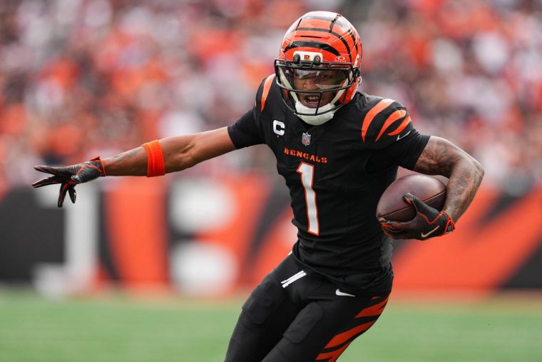 シンシナティ・ベンガルズ | NFL JAPAN.COM