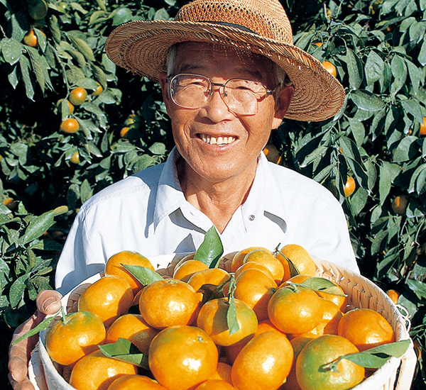 愛媛みかん5kg-家庭用 | のま果樹園