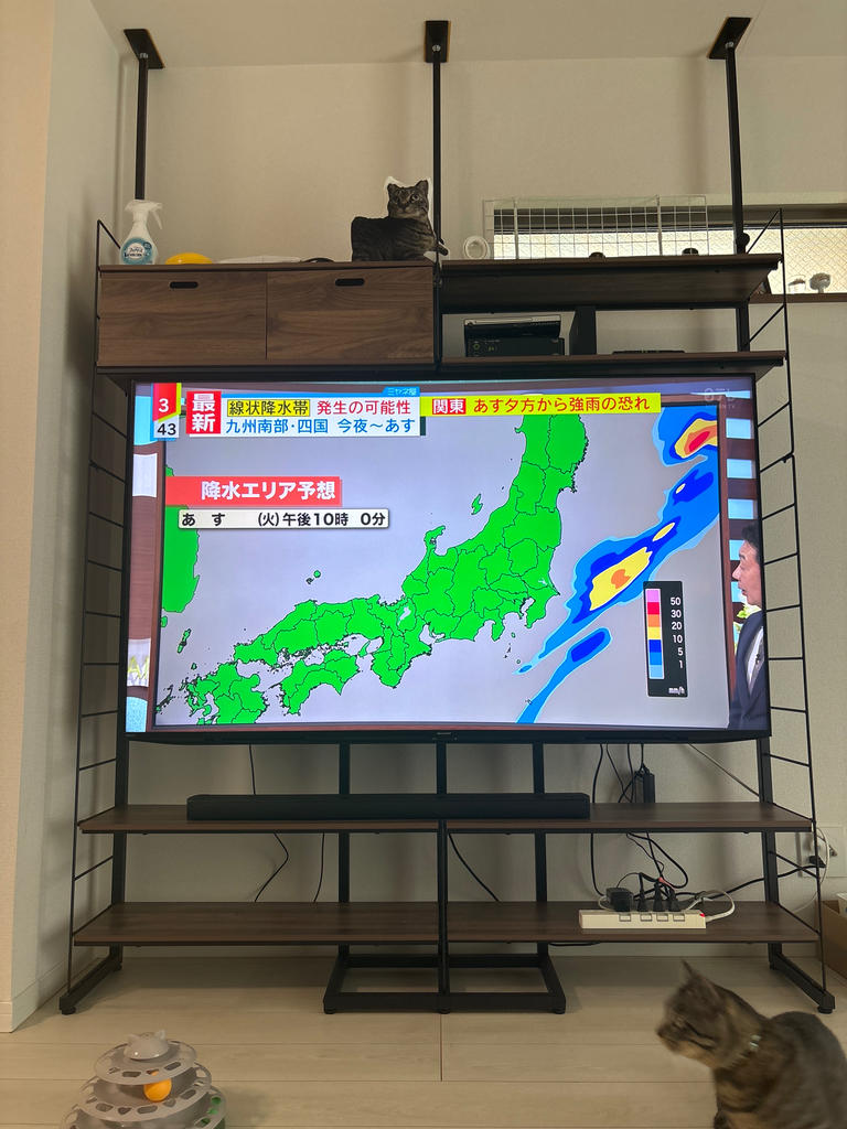65インチ テレビ台 | ニトリネット【公式】 家具・インテリア通販