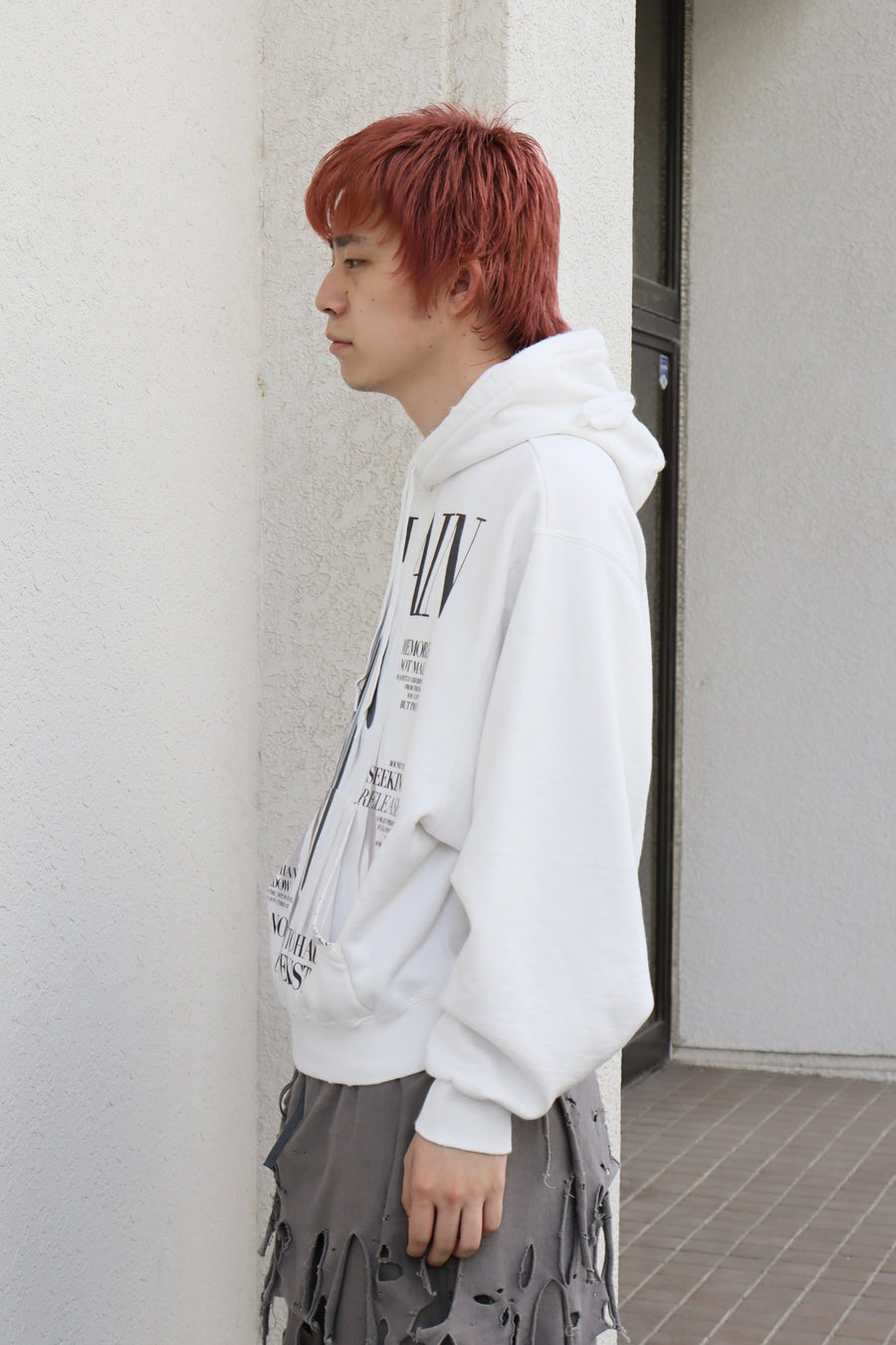 doublet(ダブレット)のVILLAIN COVER PRINT HOODIEの通販｜PALETTE art