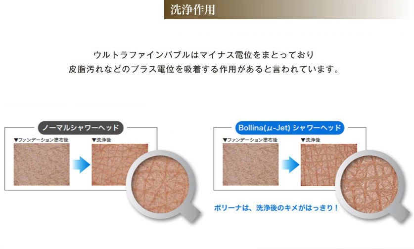 TK-8002 ボリーナ サイドプロ [Bollina SIDE PRO] 美肌・美髪・節水