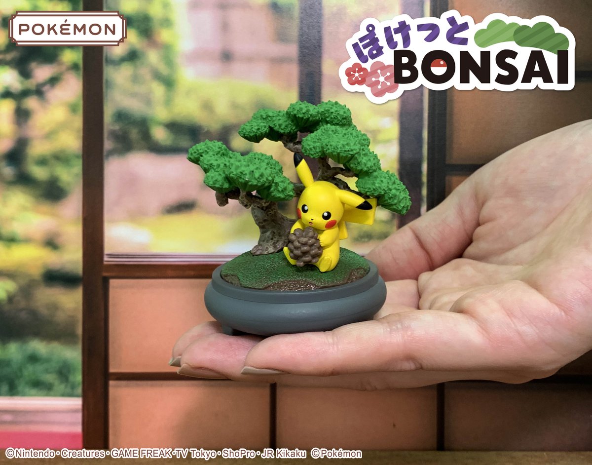 本日発売【ポケットモンスター ぽけっとBONSAI】 ぽけっとBONSAIは