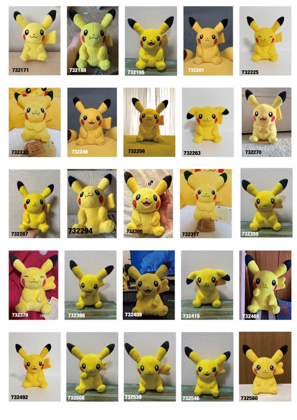 尻尾頬のサイズ展開が個体差ではなく、 種類であることが判明