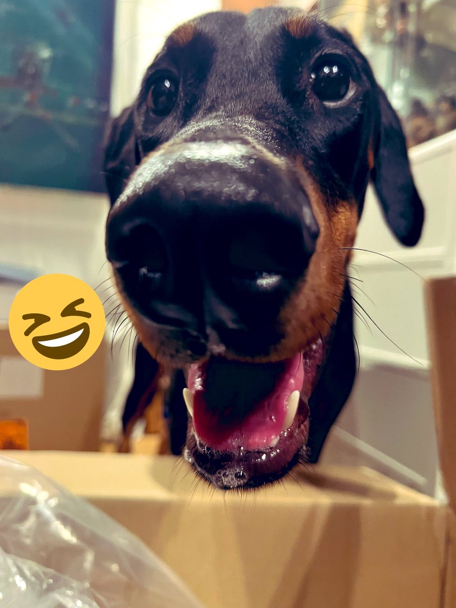 THE THIRD EYE WORKS (@83torch) / Posts / X