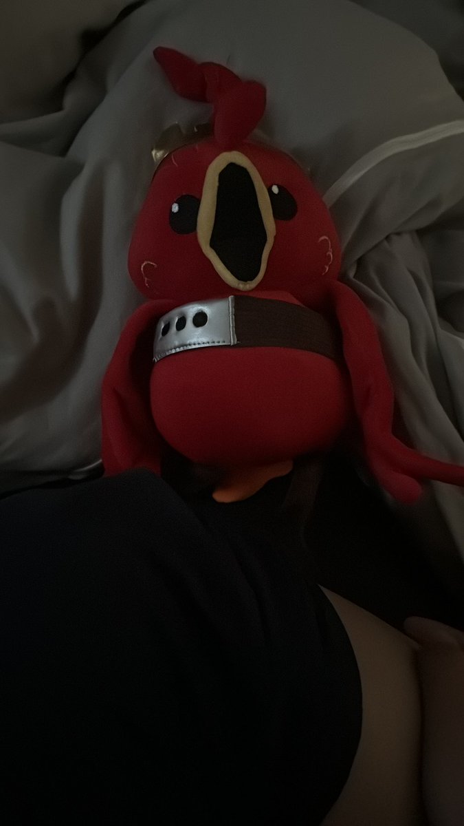 因みに話題のコッコルピアぬいぐるみですが、まんまこれ届きます。