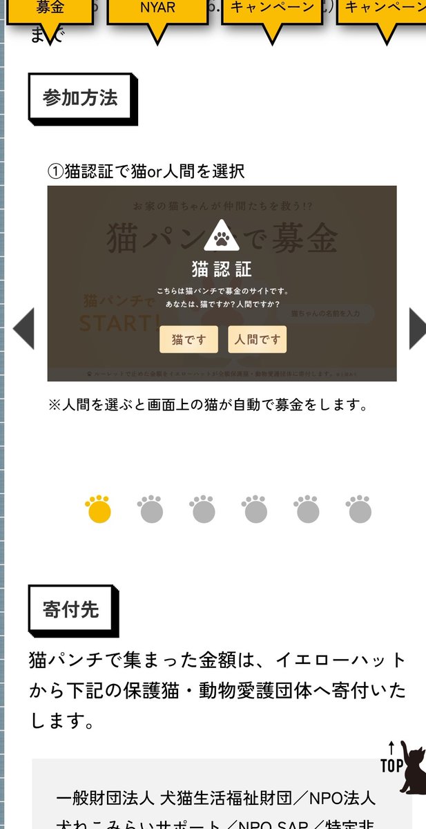 可愛かった！222円〜🐾🐈‍⬛🎁