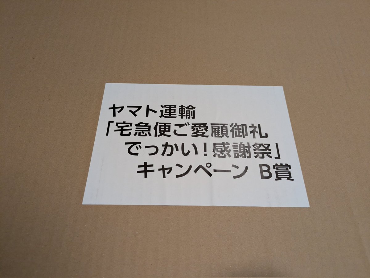 ヤマト運輸さまのキャンペーンで当選したでっかい！ねこぬいぐるみ