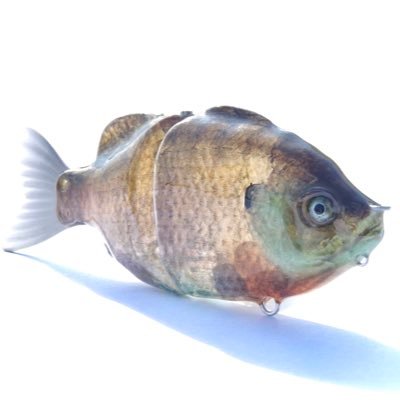 フレッシュベイトルアーズ｜Fresh Bait Lures (@FreshBaitLures