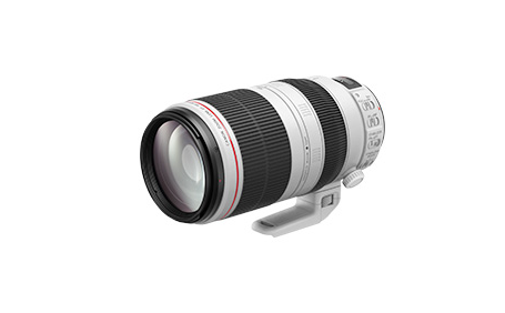 EF100-400mm F4.5-5.6L IS II USM：レンズ交換式カメラ・レンズ｜個人
