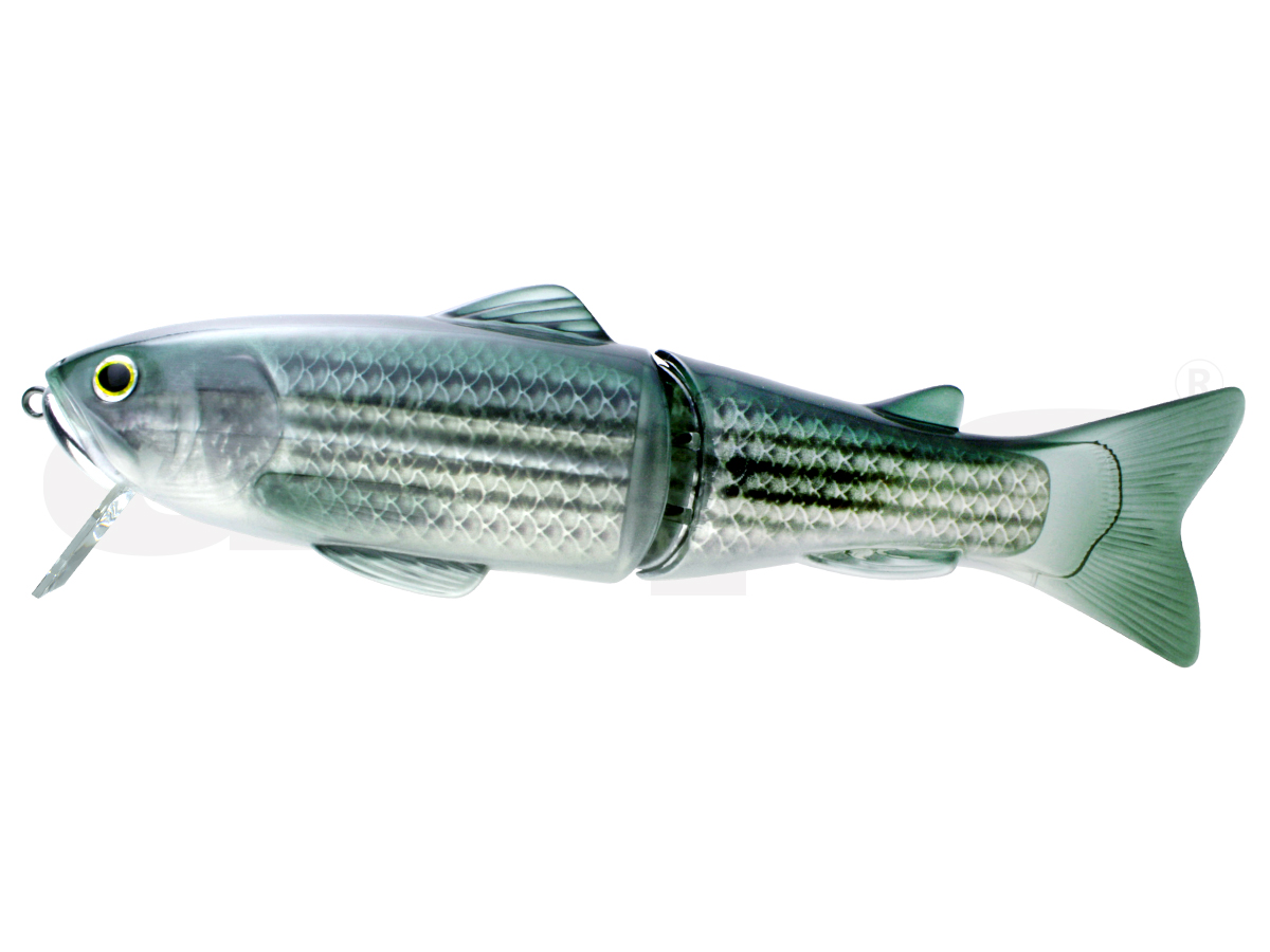 new SILENTKILLER 250 | deps OFFICIAL HP | デプス 公式HP