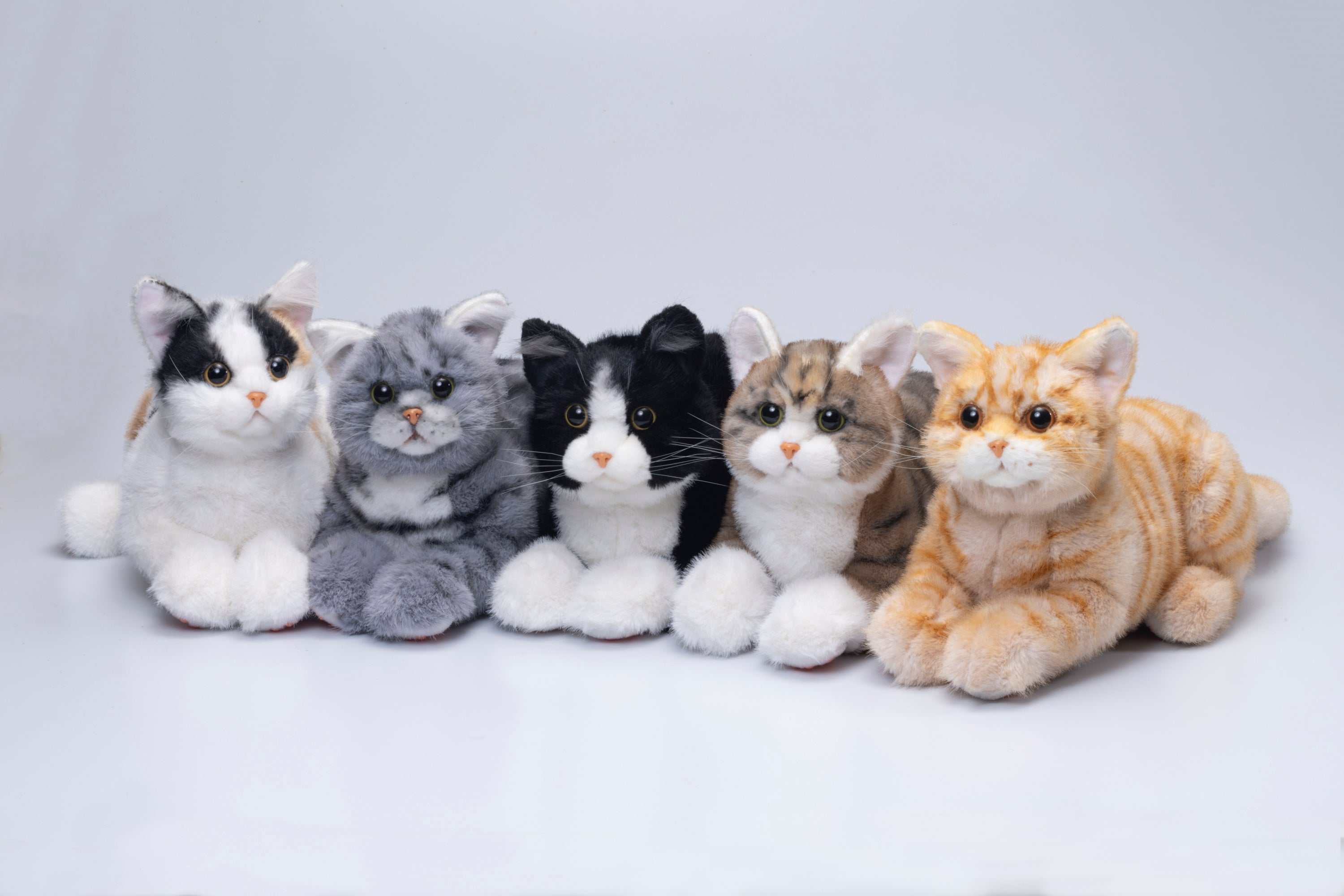 なでなでねこちゃんEX ヒマラヤン 発売 | トレンドマスター株式会社の
