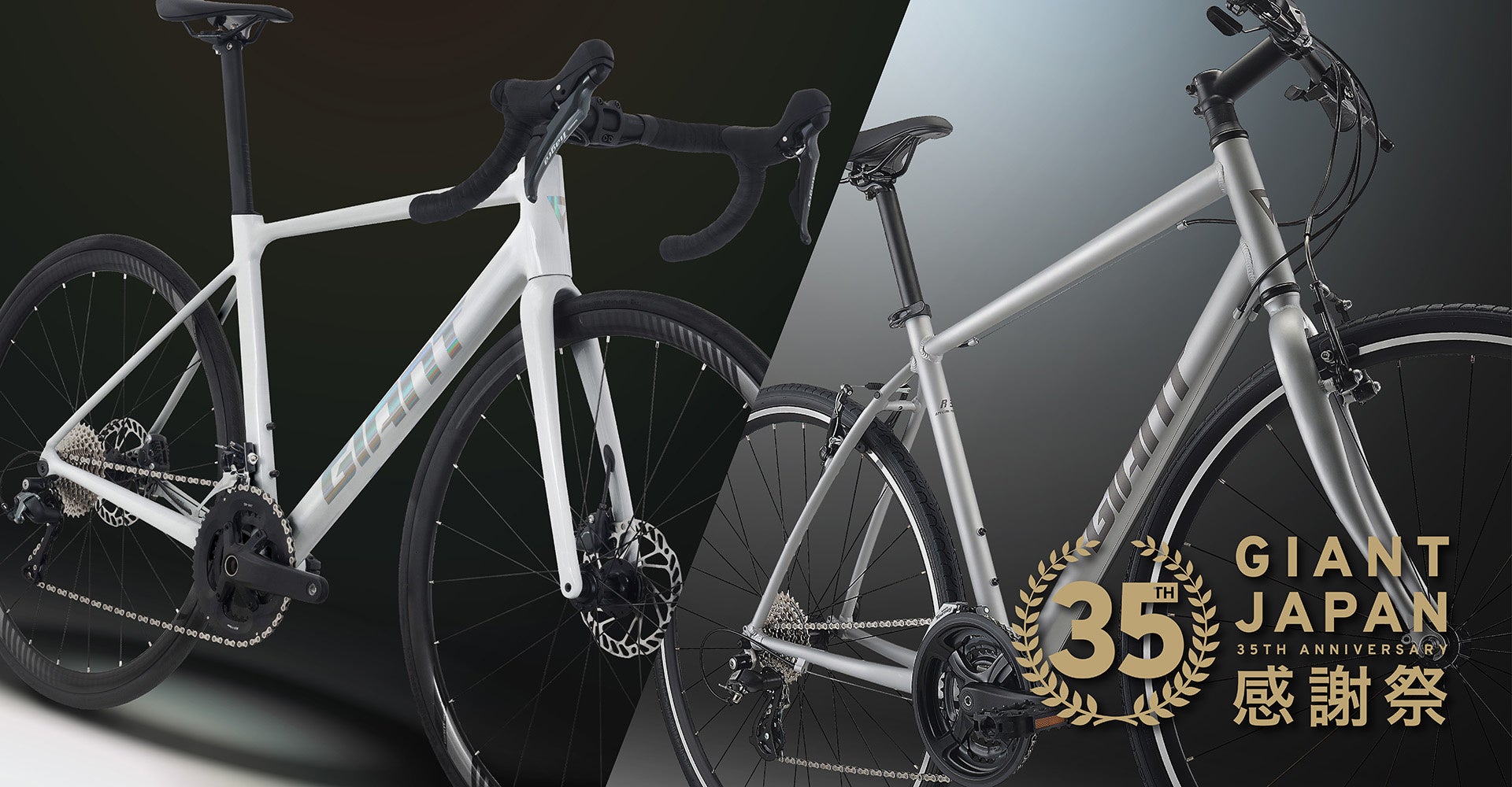 GIANT JAPAN 35周年記念モデル クロスバイクESCAPE R3 SEとアルミ