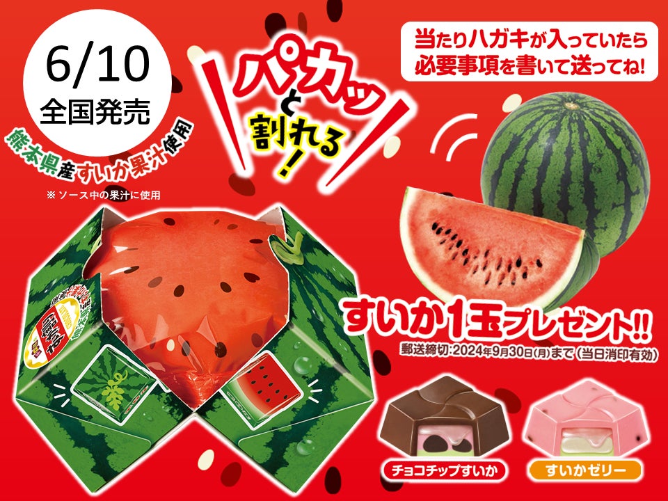 100名様にすいか1玉が当たるキャンペーン付き♪夏の風物詩を手軽に体験