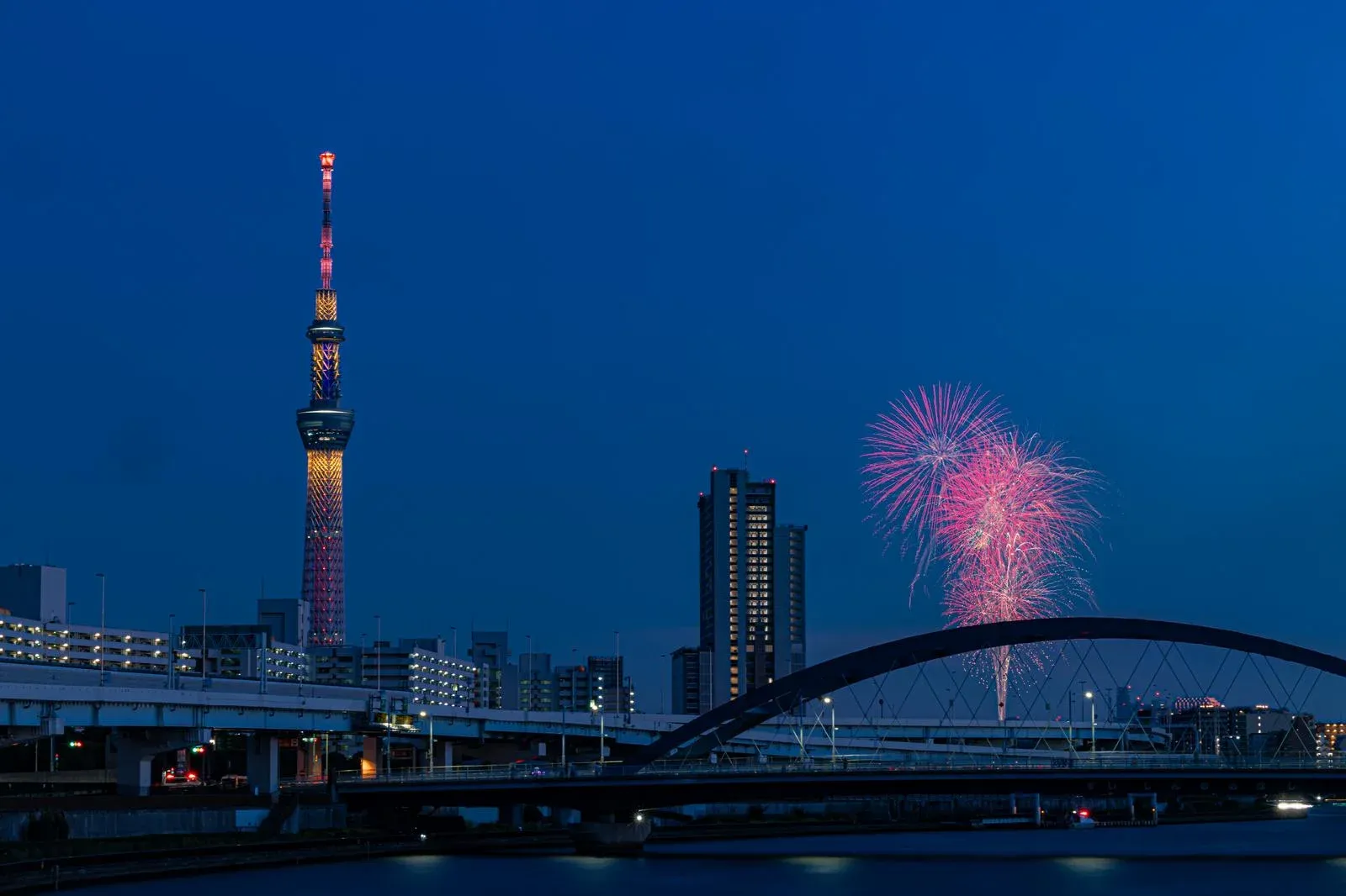 Tokyo Summer: A Guide to Seasonal Events and Urban Oases