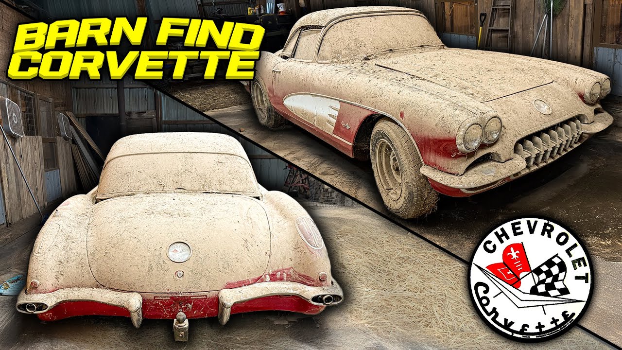 50-Year-Owned 1959 Corvette Stored in Hen House Gets Cleaned