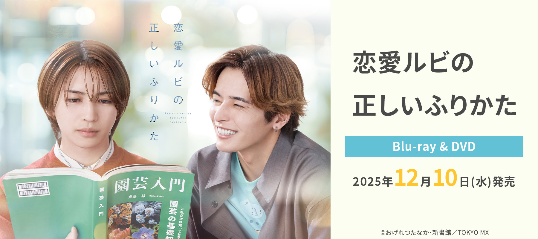 岩橋玄樹 オフィシャルサイト ｜ GENKI IWAHASHI OFFICIAL SITE | 岩橋