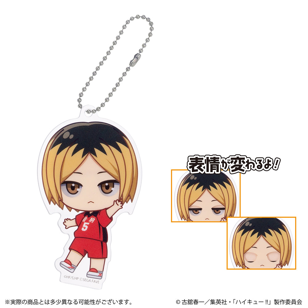 アクドールmini ハイキュー!!（BOX購入） | セガ フェイブ ストア