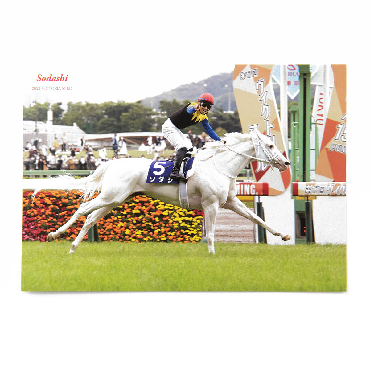 オリジナルポストカード ソダシ ヴィクトリアマイル2022 - 競馬グッズ
