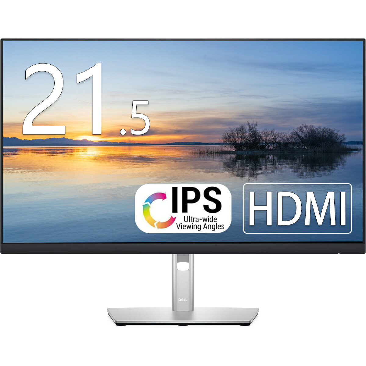 楽天市場】Dell モニター 23.8インチ P2422H IPSパネル 1920x1080 フル