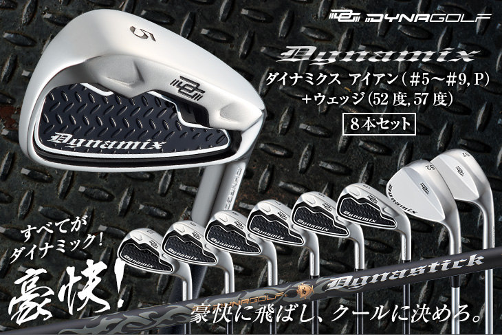 DYNAGOLF（ダイナゴルフ） ゴルフ クラブ メンズ アイアンセット 8本