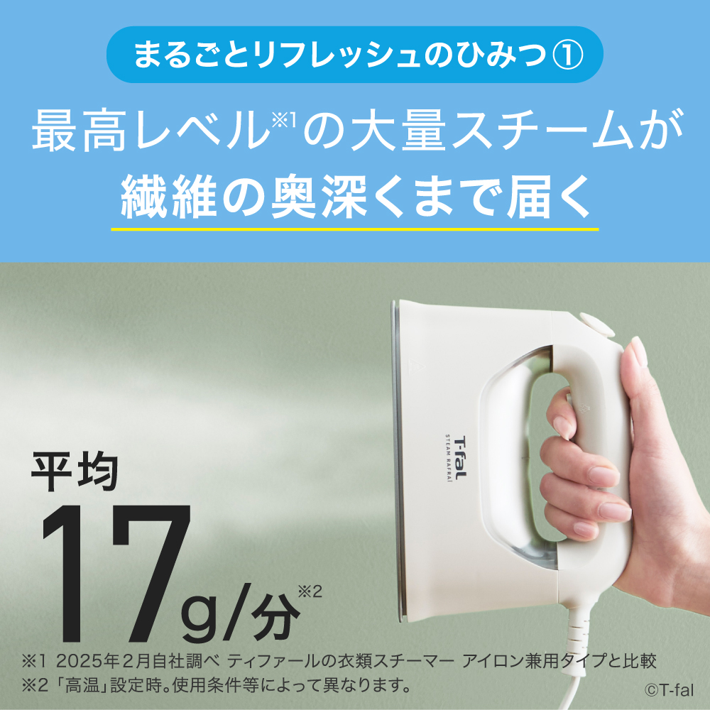 T-fal（ティファール） スチーム ラフレ DV8070J0 / DV8075J0 スチーム