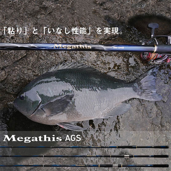 DAIWA（ダイワ） 【目玉商品】ダイワ 21 メガディス 4-53遠投・N (磯竿