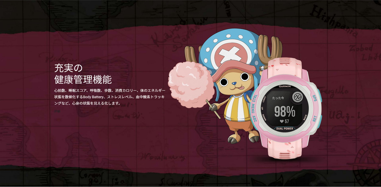 GARMIN（ガーミン） ソーラー充電モデル ガーミン公式直販 nstinct 2S