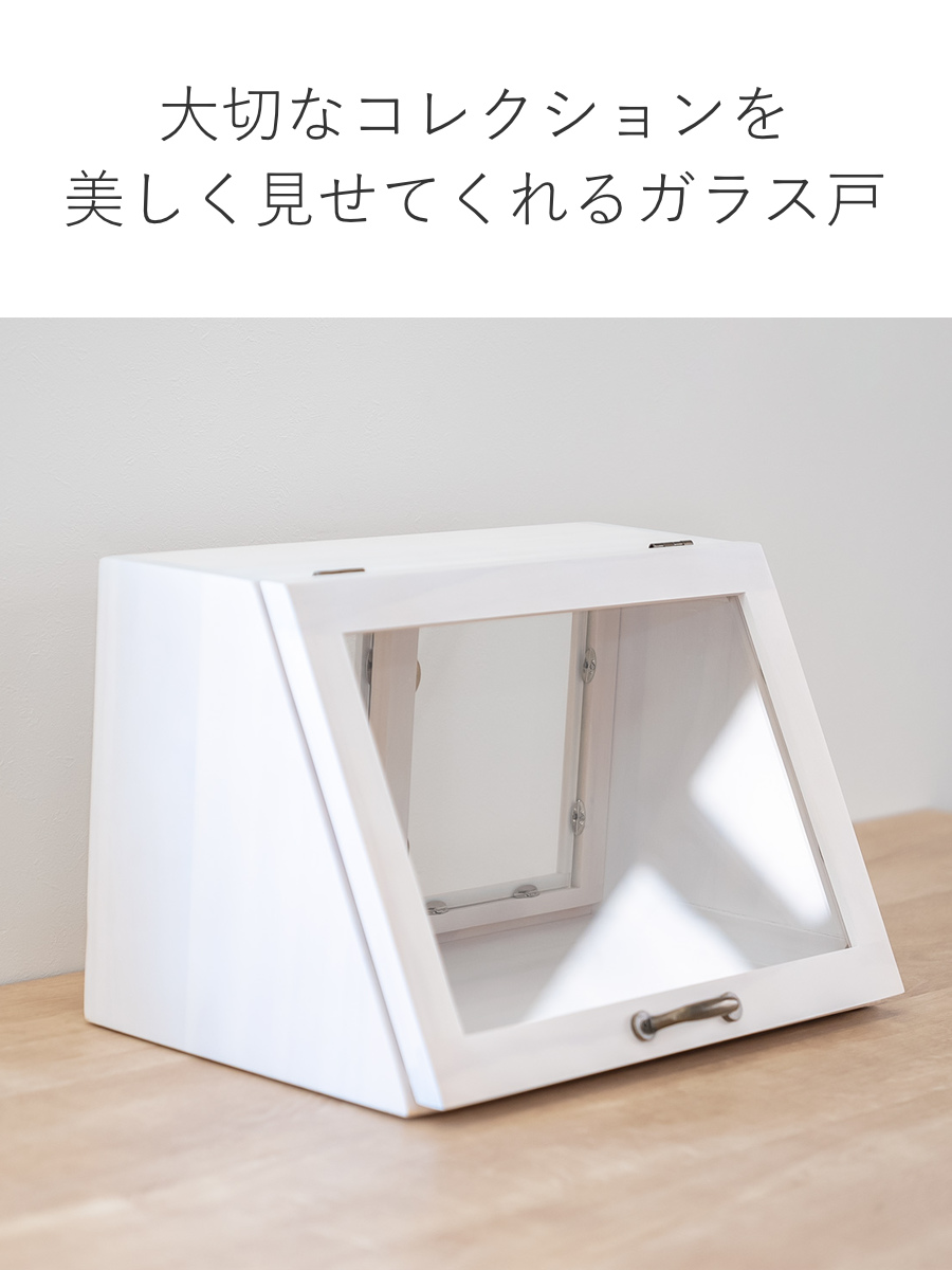 HAGiHARA（萩原） ガラスケース 幅40cm 1段 カウンター上収納 ラック
