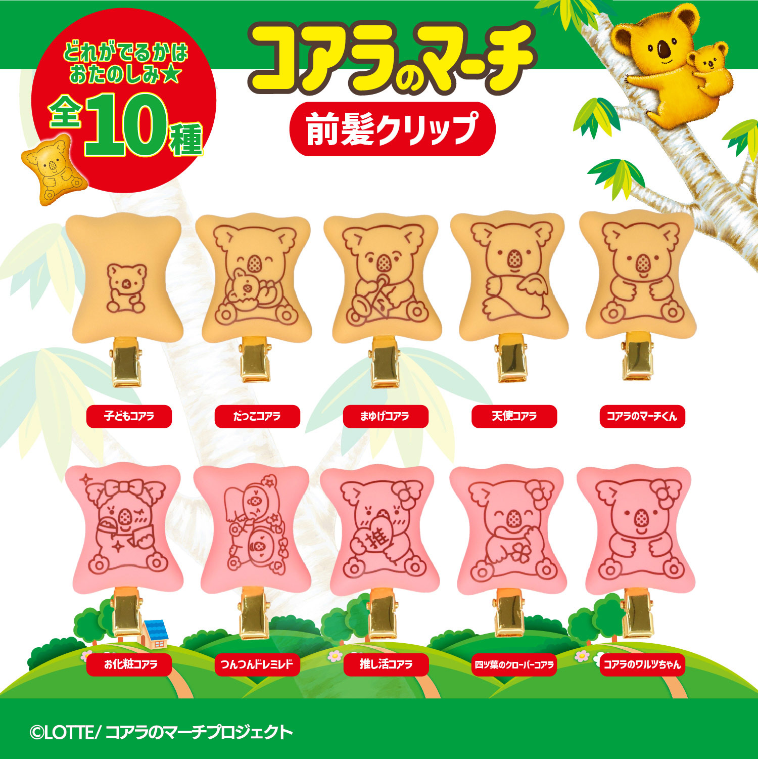 SHOBIDO 【ケース商品】【全10種セット】 LOTTE コアラのマーチ 前髪