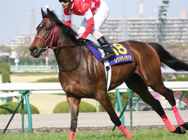 ブエナビスタ、史上3頭目「牝馬三冠」へ躍動！=秋華賞 展望