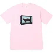Supreme/Damien Hirst Tee | Supreme 25ss