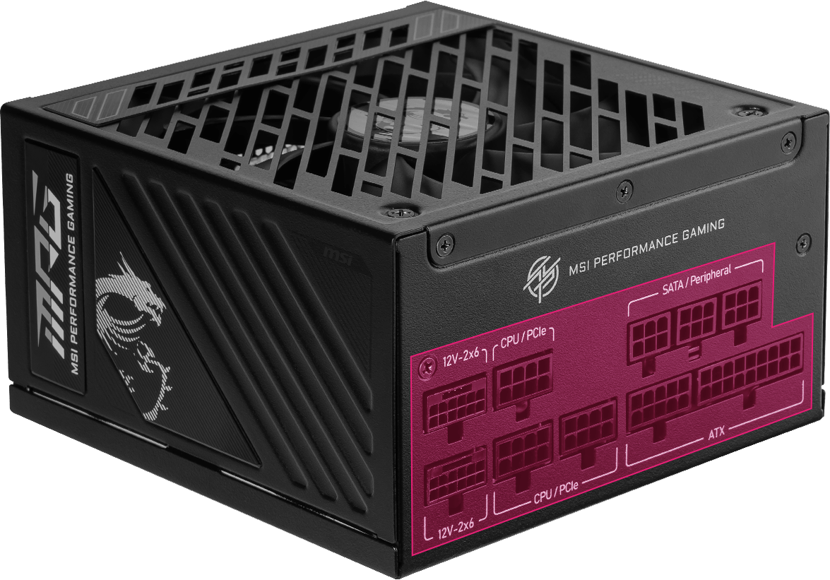 MPG A1250GS PCIE5 | Power Supply｜MSI