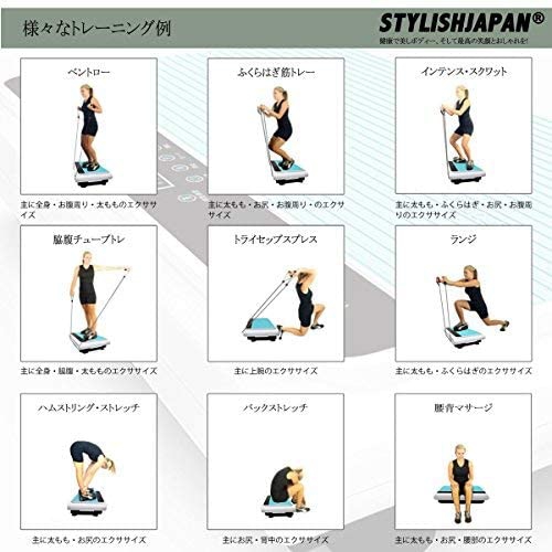 stylishjapan(スタイリッシュジャパン) スリミング振動ステッパー